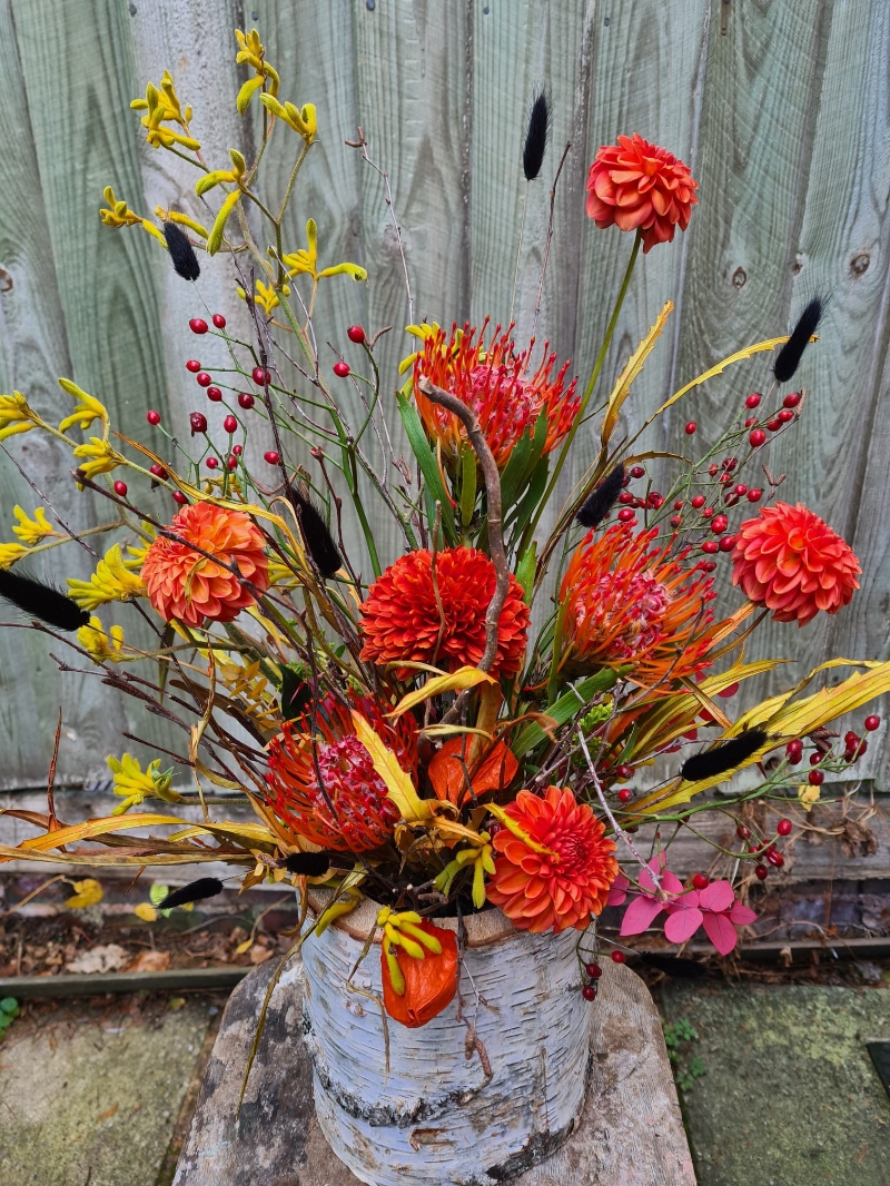 Bonfire Night Log Arrangement