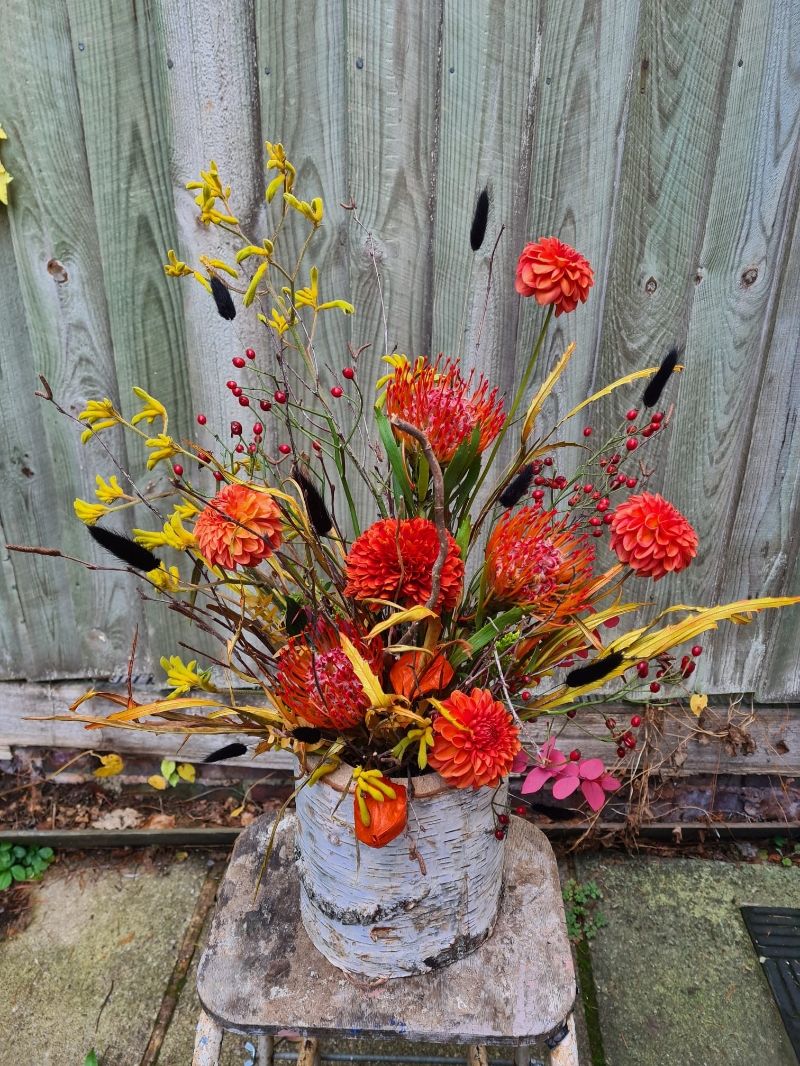Bonfire Night Log Arrangement