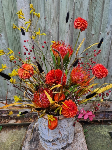 Bonfire Night Log Arrangement