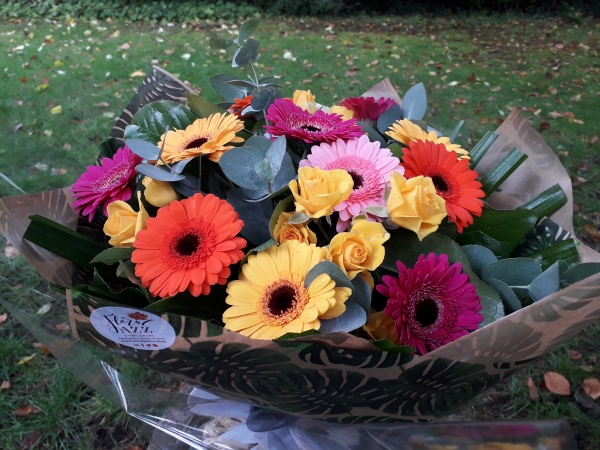 Pet Friendly Flowers