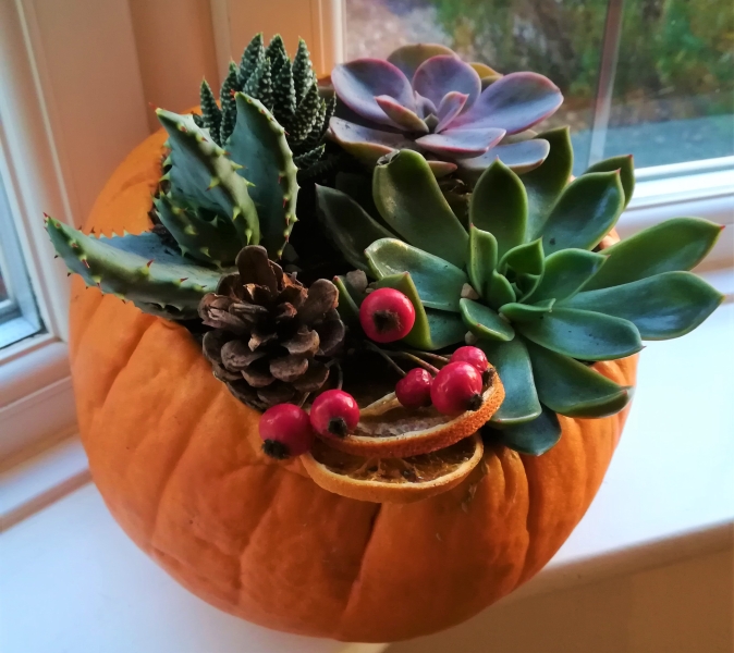 Pumpkin Planter Workshop 21st October