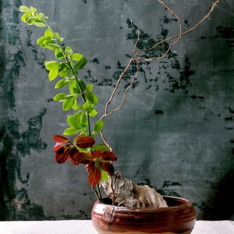 Ikebana Workshop 15th April 2026